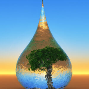 waterdrop-tree-inside